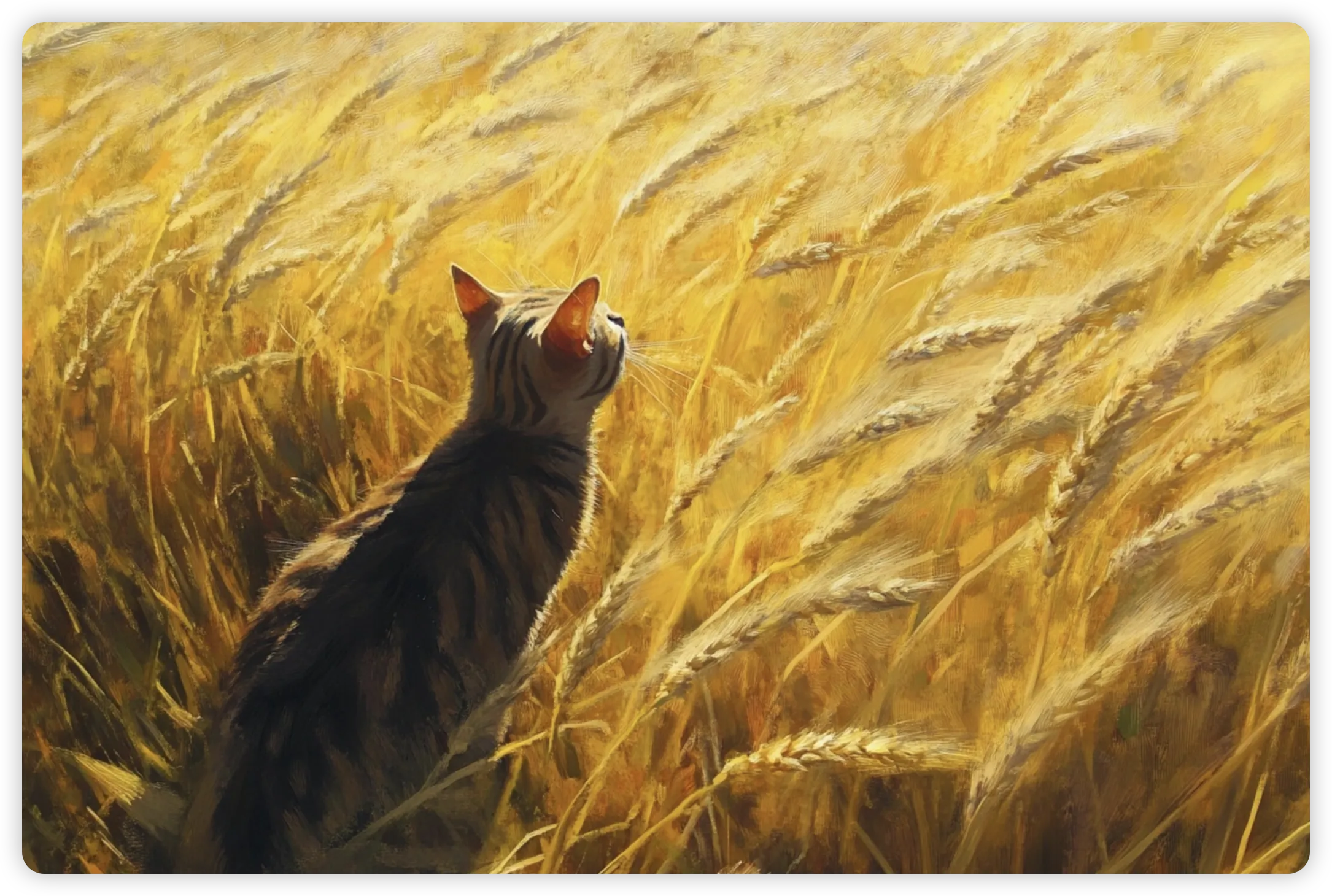 Cat in wheat field from bird's eye view perspective